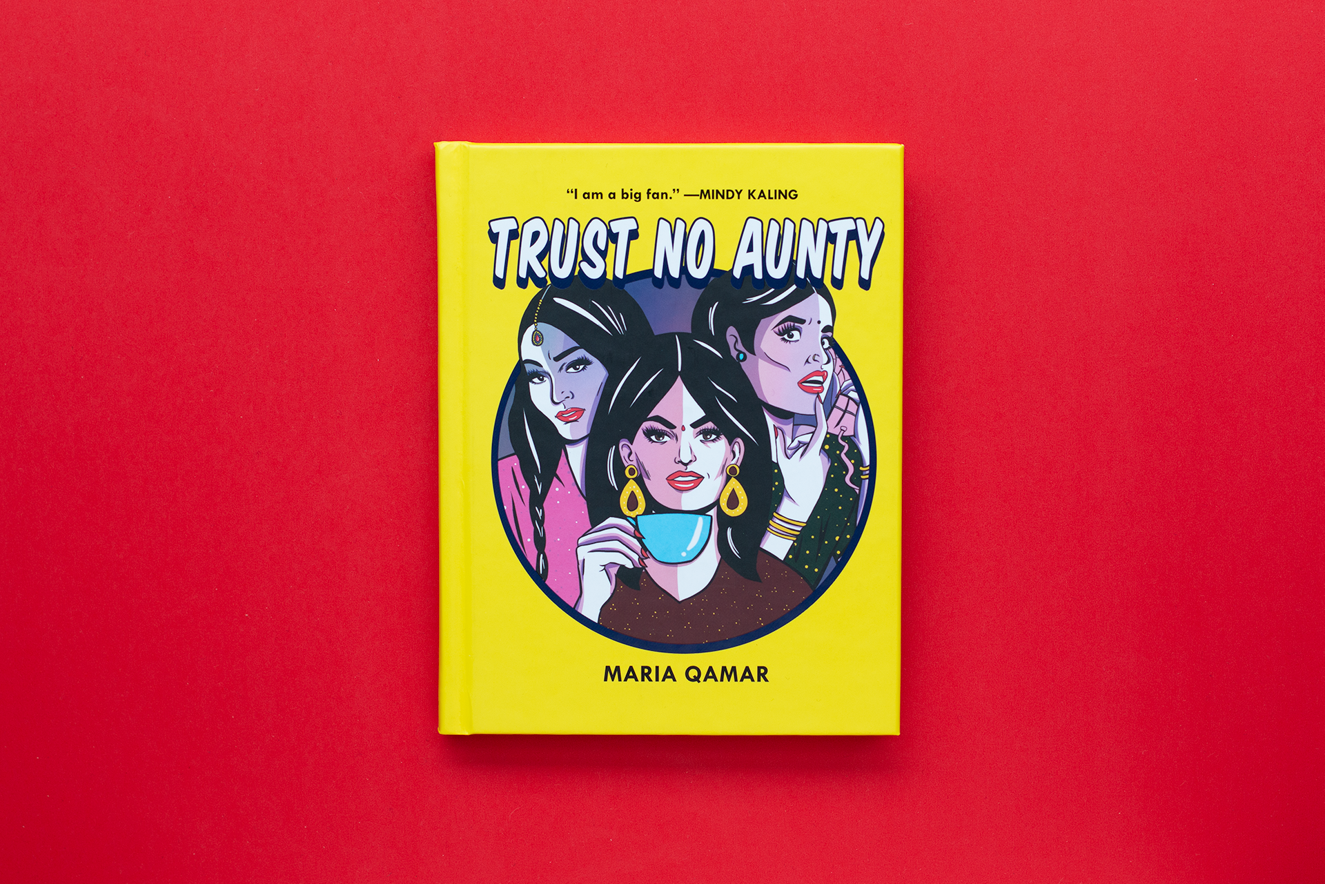 TrustNoAunty_Book1_B