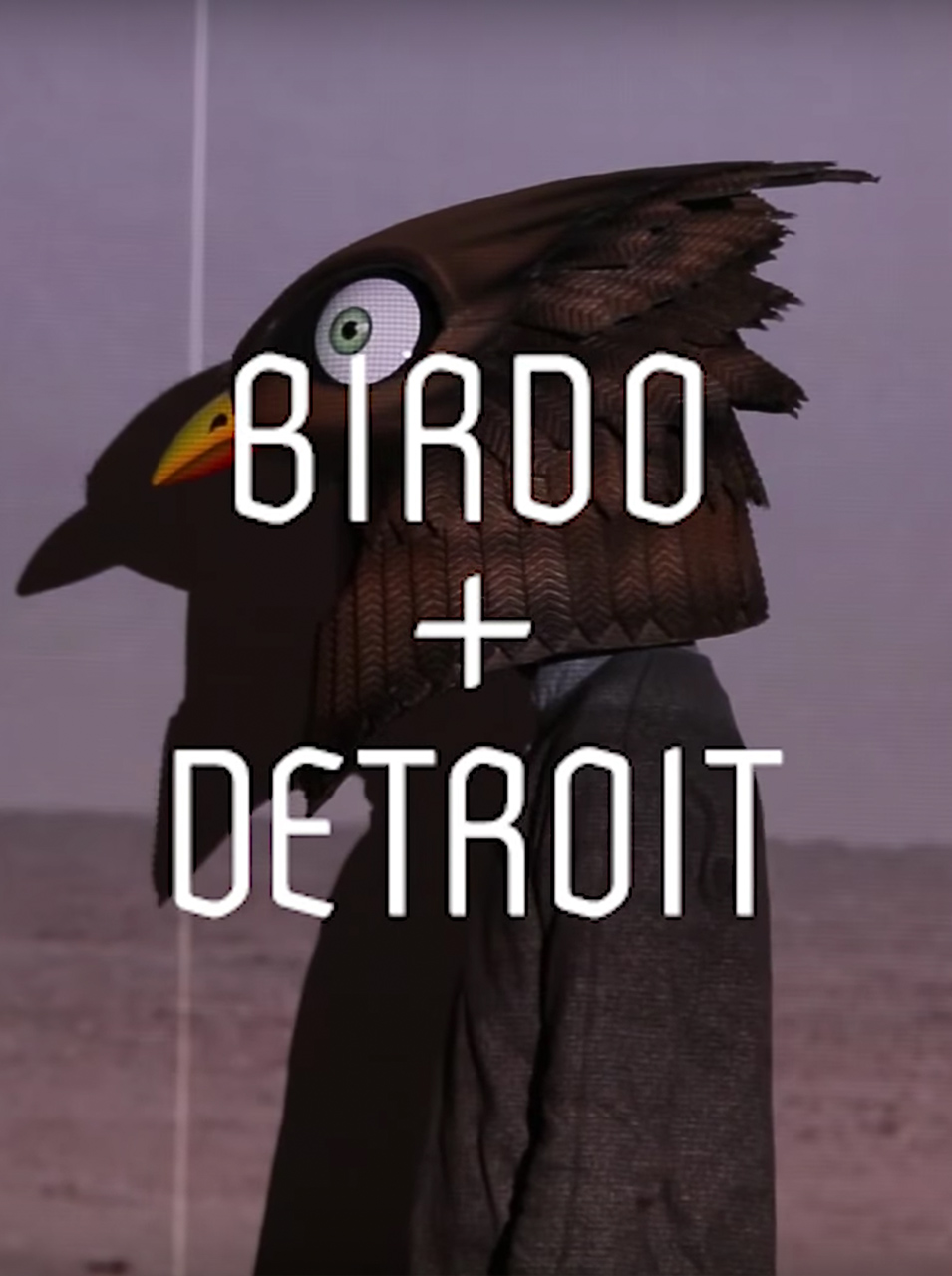 Birdo + Detroit