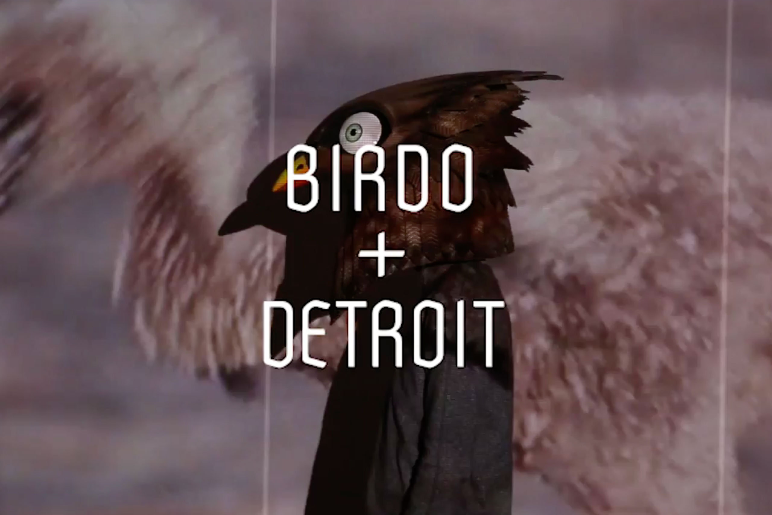 Birdo + Detroit